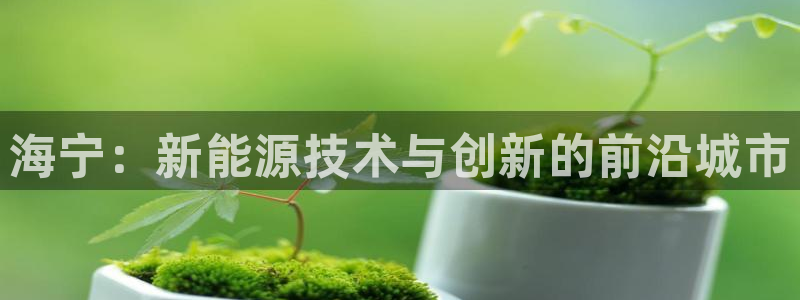 申慱sunbet版app