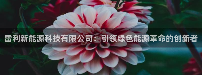 申博官网电脑版下载