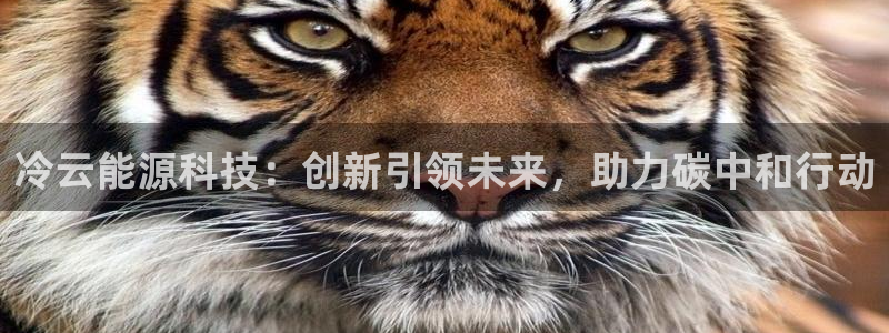 sunbething怎么读