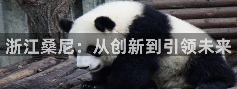 sunbet游戏网