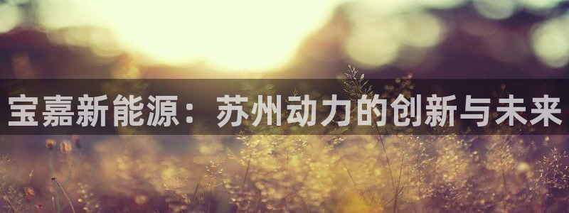 sunbething怎么读