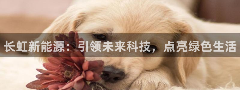 申慱sunbet手机版登