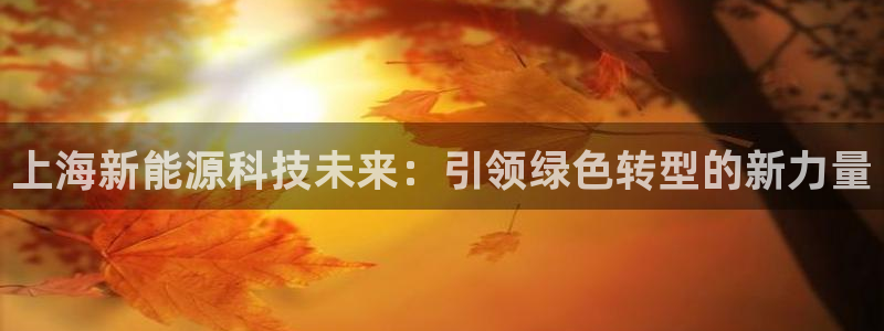 sunbet中国官网