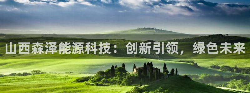sunbet英语翻译